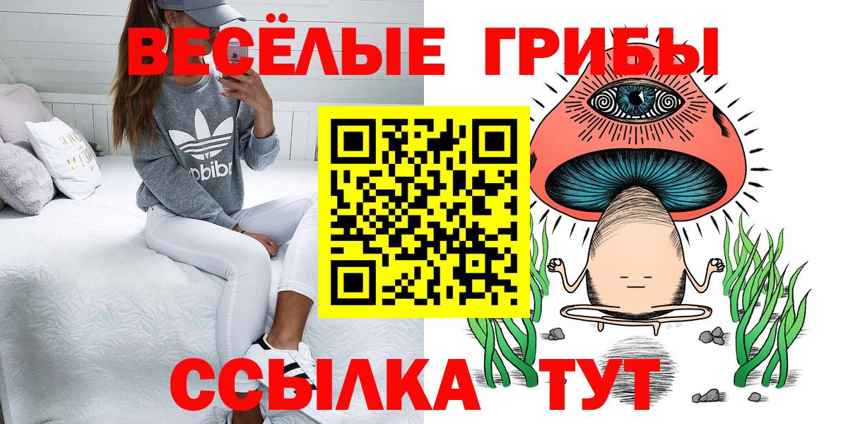 Пенза  Псилоцибиновые грибы GOLDEN TEACHER  купить  цена  Вход с VPN 